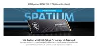 MSI 1TB SPATIUM M560 10200-8400MB/s M.2 NVME GEN5 SSD DİSK
